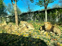 -北京野生动物园