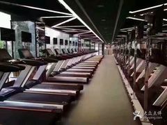 -金吉鸟健身游泳