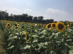 -南京信息职业技术学院