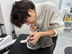 -爱洗澡的猫(天河路店)