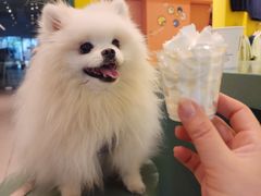 -星巴克臻选(上海合生汇1F店)