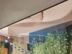 -新紫霞养生·影院足道·SPA(金山区店)