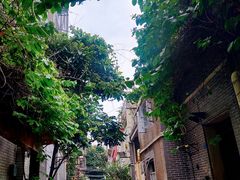 -荔湾湖公园