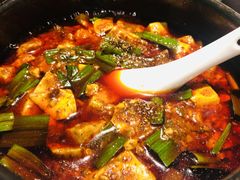 -陈麻婆豆腐总店