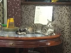 -公利真料竹蔗水(中环店)