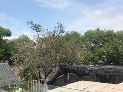 -糖房咖啡(南锣鼓巷店)