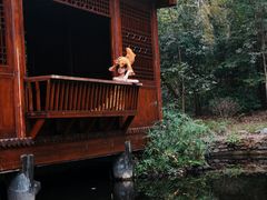 -深圳国际园林花卉博览园