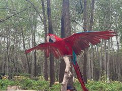 -北京野生动物园