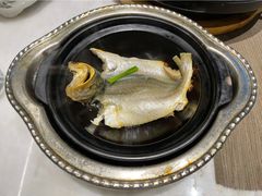 金锅焗东海黄鱼-御仙都北京菜馆·烤鸭店(双井店)