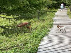 -红崖峡谷景区