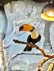 -Zoolung Zoolung动物主题公园(海信广场店)