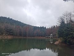 -四明山国家森林公园