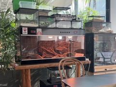 -大视光学•LINDBERG林德伯格•全球手工眼镜集合店(王府井店)