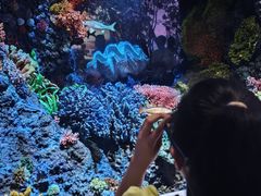 -中国湿地博物馆