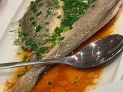 -醉辉皇原味海鲜江南菜(成都大魔方店)