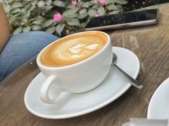 手冲咖啡-Fern Forest Cafe
