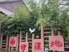 -大湾区中央湿地公园