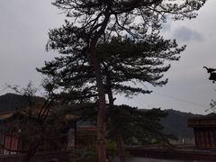 -须弥福寿之庙