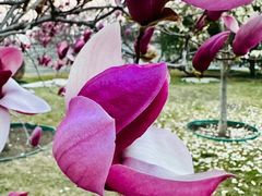 -永定河休闲森林公园