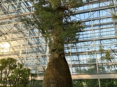 -南山植物园