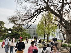 -北京植物园-展览温室