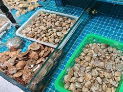 -和源祥·日照菜扛把子(万平口一店)