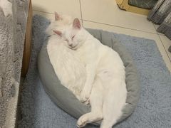 -佳雯宠物医院(金华南路分院)