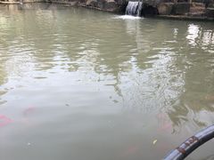 -八大山人梅湖景区