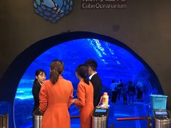 -成都浩海立方海洋公园