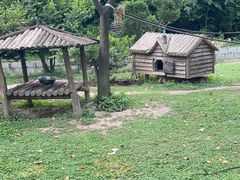 -上海野生动物园
