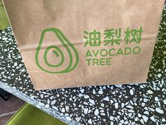 -油梨树AVOCADO TREE(顺义新国展店)
