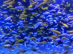 -成都浩海立方海洋公园