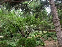 -国家植物园南园