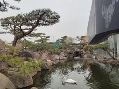 -罗红摄影艺术馆