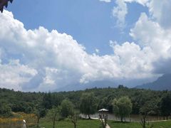 -青峰峡国家森林公园