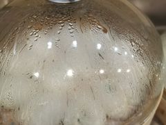 -蟹谢蒸鲜自助餐厅