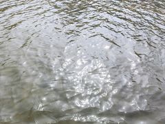-石燕湖生态旅游景区