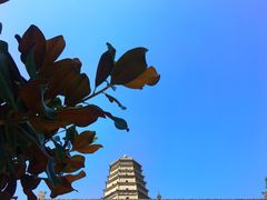 -法门文化景区