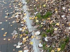 -辽宁大学(崇山校区)