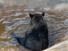 -昆明动物园