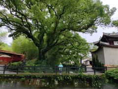 -古堰画乡景区