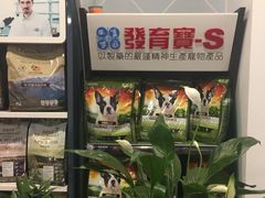 -翊宠yipet猫狗购宠庄园犬舍•猫舍