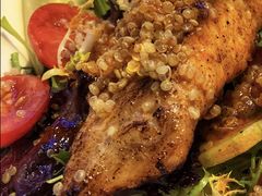 -bluefrog蓝蛙(水游城店)