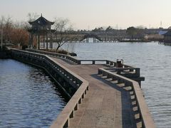 -杭州湾海上花田景区