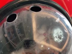 -安安宠医·安宠宠物医院