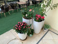 -香蜜轩·粤菜·宴会(世界之窗店)