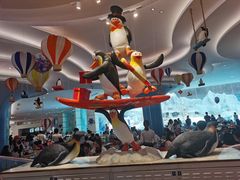 -帝企鹅自助餐厅•儿童岛•真企鹅(长隆企鹅酒店)