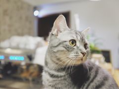 -隅cafe(傅厚岗店)