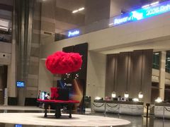 -上海外滩茂悦大酒店
