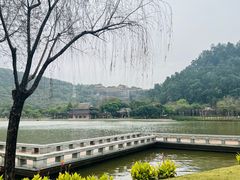 -顺峰山公园